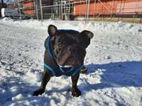 Beschäftigungs Möglichkeiten?-Beitrag-Bild