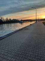 Mal wegfahren mit dem Hund oder nur zu Hause u Umgebubg spazieren gehen?-Beitrag-Bild