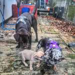 Ersteller:in jenny Profilbild