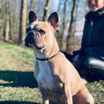 Ersteller:in Inaja Profilbild