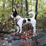 Ersteller:in Johannes Profilbild