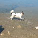 Ersteller:in Christin Profilbild