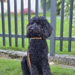 Ersteller:in Stefanie Profilbild