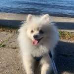 Ersteller:in Isi Profilbild