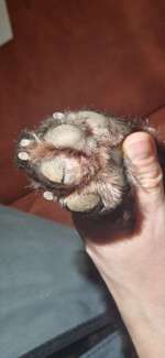 Obere Schicht an Ballen-Beitrag-Bild