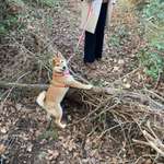 Ersteller:in Elvira Profilbild