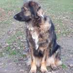 Ersteller:in Andrea Profilbild