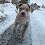 Ersteller:in Susann Profilbild