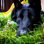 Ersteller:in Natalie Profilbild