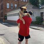 Ersteller:in Lorenzo Profilbild