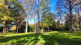 Hundeauslaufgebiet-Alter Friedhof-Bild