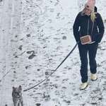 Ersteller:in Drea Profilbild