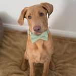 Ersteller:in Anika Profilbild