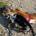 Ersteller:in Yvonne Profilbild