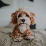 Ersteller:in Kati Profilbild