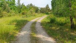 Hundeauslaufgebiet-Goitzschewald Holzweißig-Bild