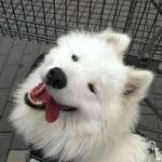 Ersteller:in Violetta Profilbild