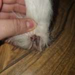 Was könnte das sein?-Beitrag-Bild