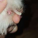 Was könnte das sein?-Beitrag-Bild