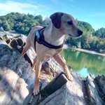 Ersteller:in Simone Profilbild