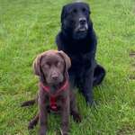 Ersteller:in Daniela Profilbild