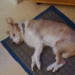 Ersteller:in C Profilbild