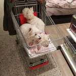 Ersteller:in Reimund Profilbild