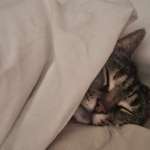 Ersteller:in K Profilbild