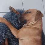 Ersteller:in Susanne Profilbild