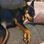 Ersteller:in Jassia Profilbild