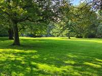 Hundeauslaufgebiet-Meidericher Stadtpark-Bild