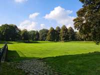 Hundeauslaufgebiet-Meidericher Stadtpark-Bild