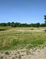 Hundeauslaufgebiet-Deponie Rheingönheim-Bild