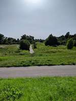 Hundeauslaufgebiet-Deponie Rheingönheim-Bild