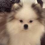 Ersteller:in Tatjana Profilbild