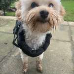 Ersteller:in Malou Profilbild