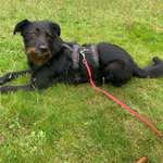 Ersteller:in Judith Profilbild