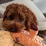 Ersteller:in Anna Profilbild