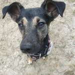 Ersteller:in Christiane Profilbild