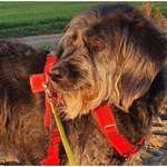 Ersteller:in Tina Profilbild