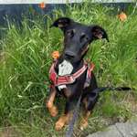 Ersteller:in Camy Profilbild