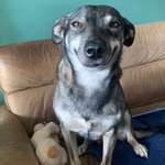 Ersteller:in Paulina Profilbild