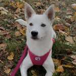 Ersteller:in Nadja Profilbild