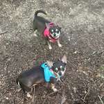 Ersteller:in Eileen Profilbild