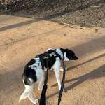 Suchmeldung-Zara-Bild