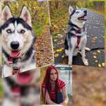 Ersteller:in svenja Profilbild