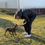 Ersteller:in Nick Profilbild