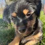 Ersteller:in Katharina Profilbild