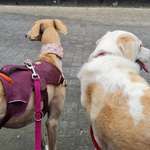 Ersteller:in Birgit Profilbild