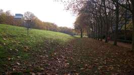 Hundeauslaufgebiet-Singarpurweg/Manilaweg-Bild